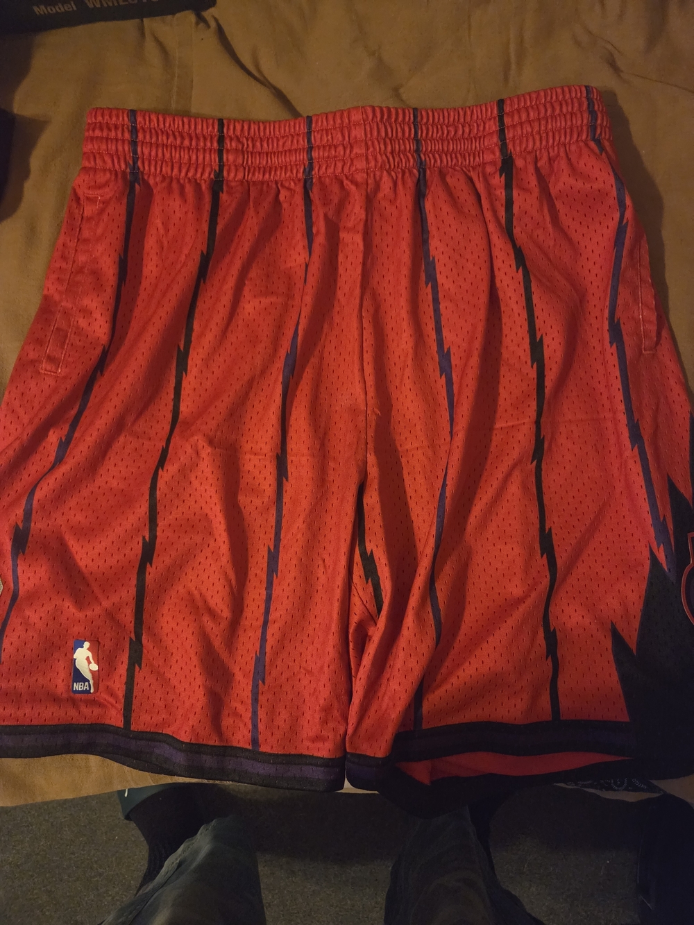 Toronto Raptors Mitchell and Ness Shorts